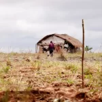 rbr7269-1536x1024-1-960x540-1-150x150 Após ataques da PM, povos Guarani-Kaiowá temem novas incursões no MS