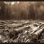 Liberta-12-1-150x150 DEVASTAÇÃO PODE SER LIBERADA