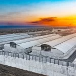 Capa-Imigrantes-deportados-dos-EUA-sofrem-violacoes-de-direitos-humanos-em-prisao-em-El-Salvador-150x150 Brasil rejeita pedido de Trump para ser prisão para deportados