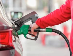 Copia-de-FOTOS-PORTAL-100-300x230 Perus On-line