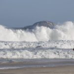 d6a3904-150x150 Especialistas alertam para riscos ambientais de intervenções em praias