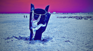 image-3-300x167 Perus On-line