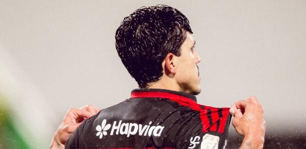 pedro-mostra-sua-camisa-do-flamengo-apos-golaco-sobre-a-chapecoense-1784772804402_v2_615x300 Perus On-line